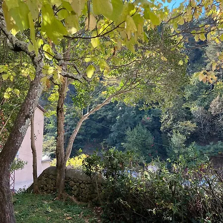 Meuble Voltour Dans La Denise 아파트 발 레 뱅